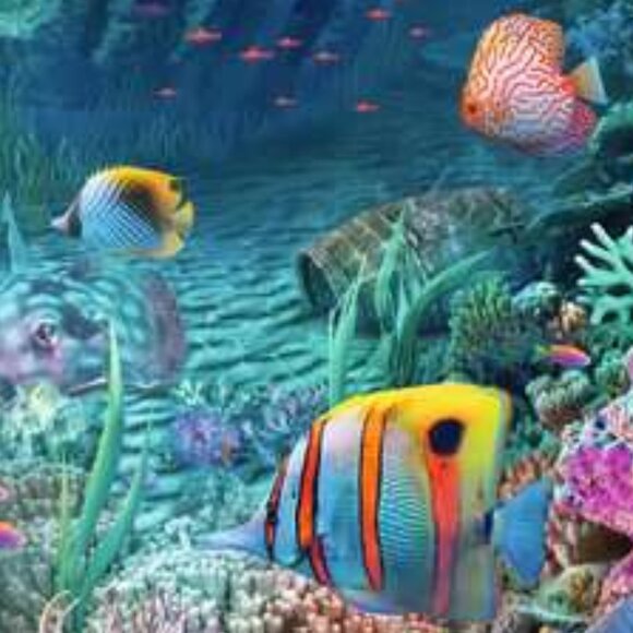 New sealed Ravensburger 200XXL Puzzle-Underwater Discovery - Picture 9 of 16